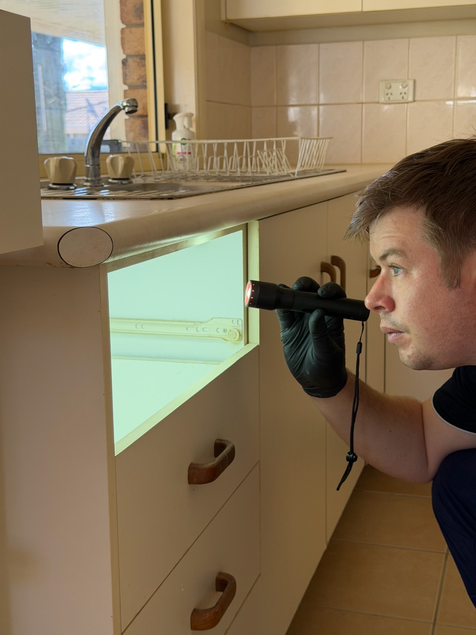 General Pest Management treatment