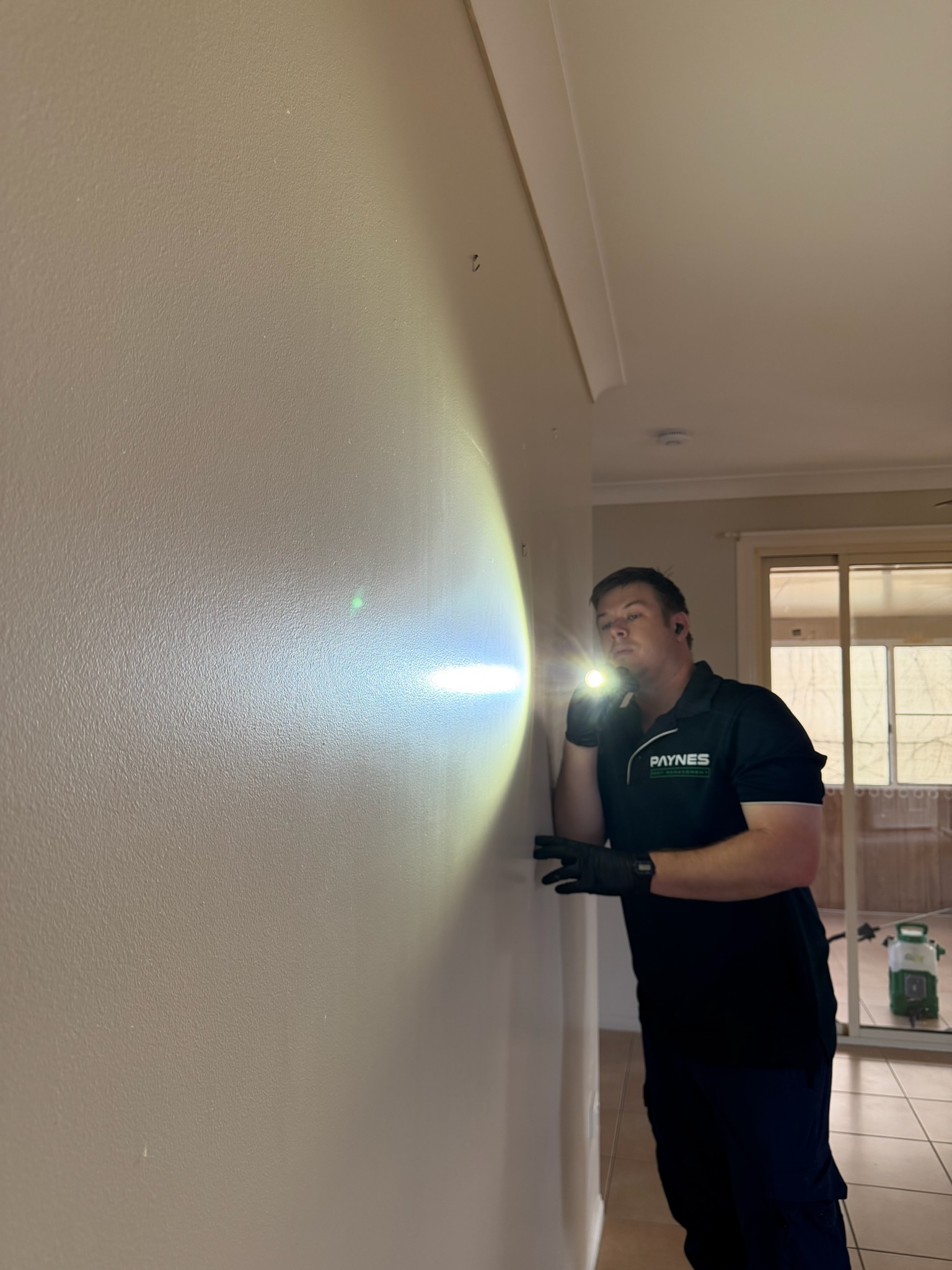 Cockroach treatment