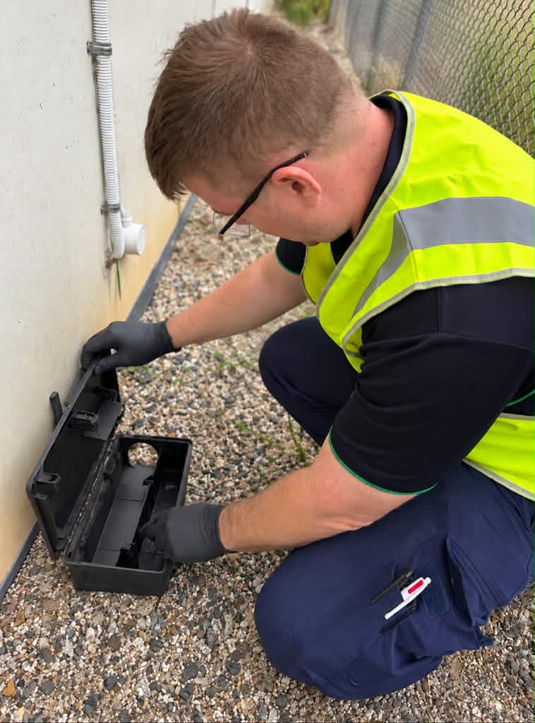 Rodent management
